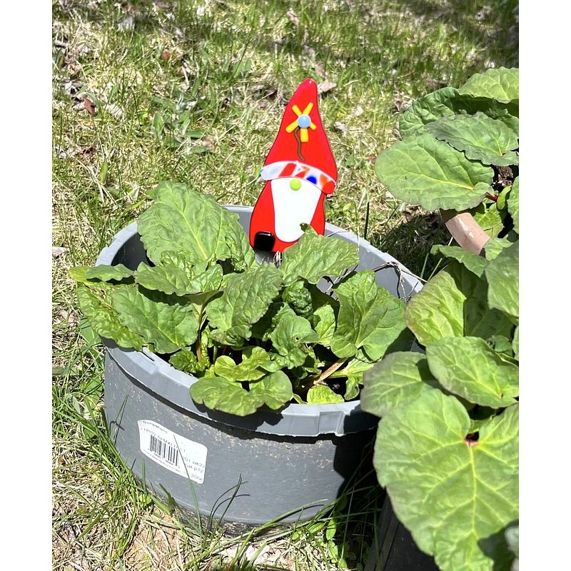 Gnome Santa